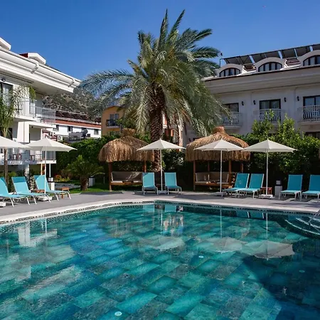 호텔 블루 스타 3*