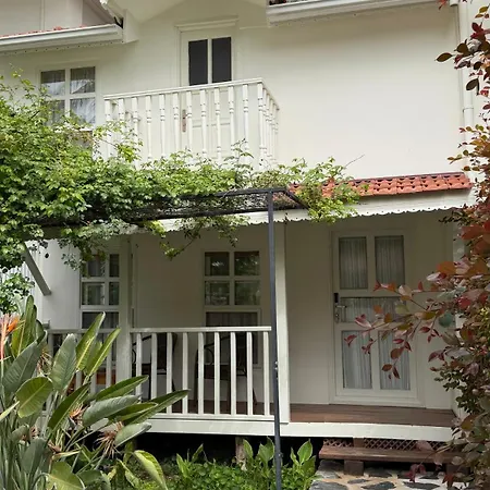 Blue Star